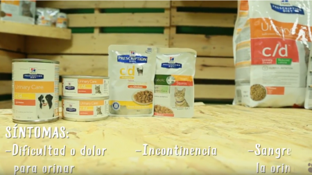 Análisis: Alimentación Hill’s para la salud urinaria de perros y gatos