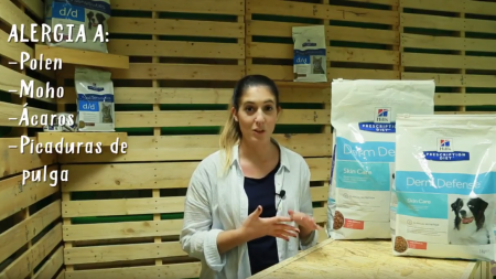 Análisis: Alimentación Hill’s para el cuidado de la piel de perros y gatos