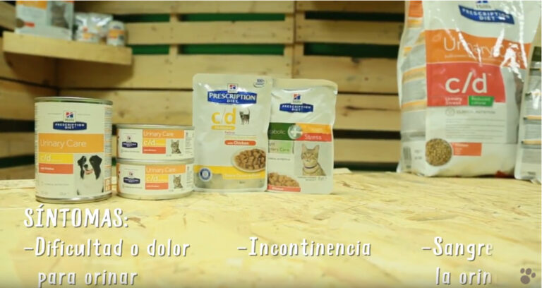 Guía de Hill’s Urinary Care para perros y gatos: para qué sirve y cuándo se recomienda