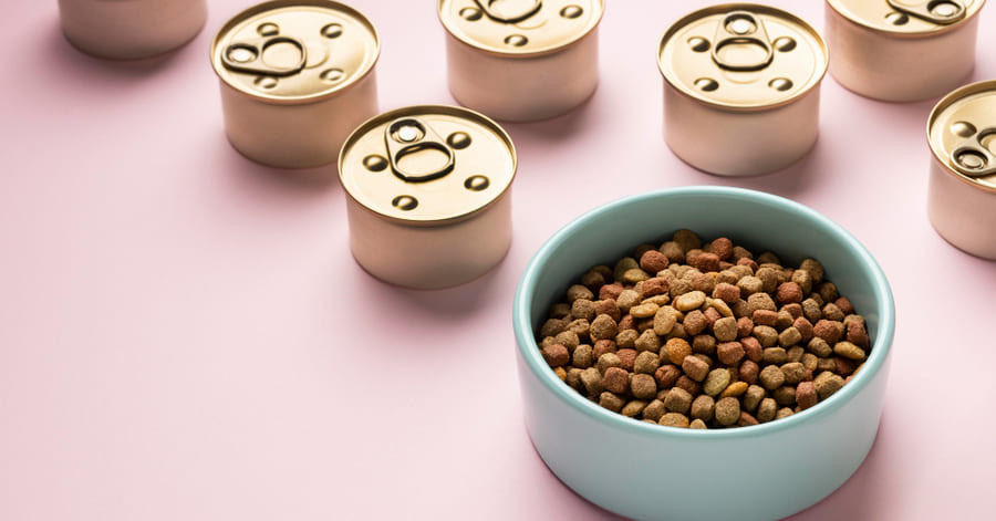 Para qué sirve la gama Hill’s Urinary y tipos