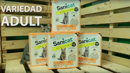 Análisis: Arena para gatos Sanicat Evolution
