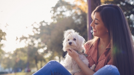 ¿Qué dar de comer a un Bichón Maltés?