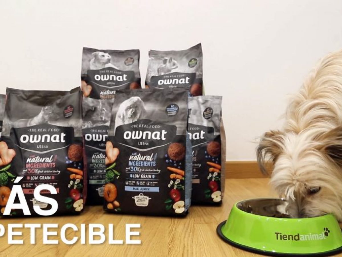 Ownat ultra - Alimentación para perros - Tiendanimal