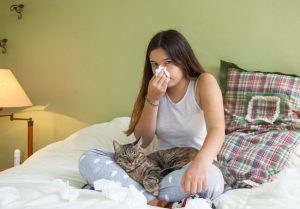 alergia-a-los-gatos