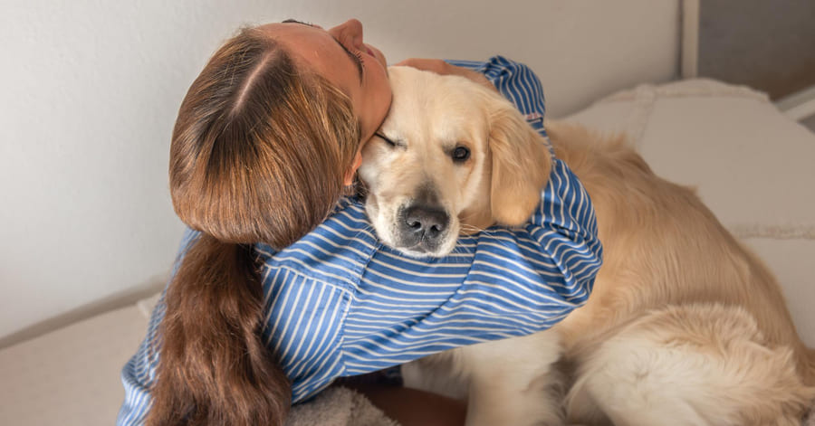 Razas en terapia de perros asistida más utilizadas