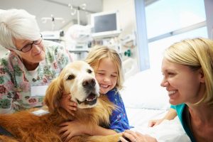 terapia-con-perros-como-pueden-ayudar-a-curar