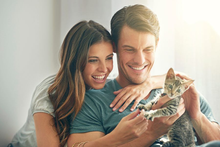 Claves para entender qué quiere decir nuestro gato