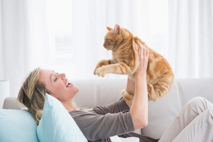 Beneficios de tener un gato en casa