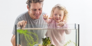 Espuma en el acuario ¿por qué sale?