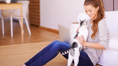 Qué hacer para que nuestro gato no arañe el sofá