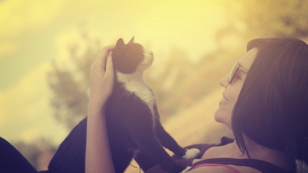 ¿Qué debo tener en cuenta a la hora de adoptar un gato?