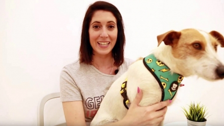 Análisis: Collares, correas y arneses Dukier