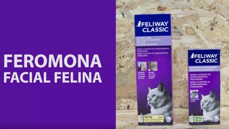 Análisis: FELIWAY