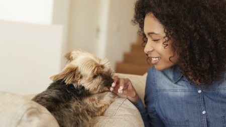Cómo asistir el parto de nuestra perra