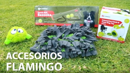 Análisis: Accesorios Flamingo para el tiempo libre