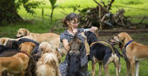 Guardería canina: qué es, beneficios y servicios que ofrece para tu perro