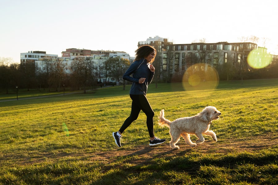 Perros para salir a correr