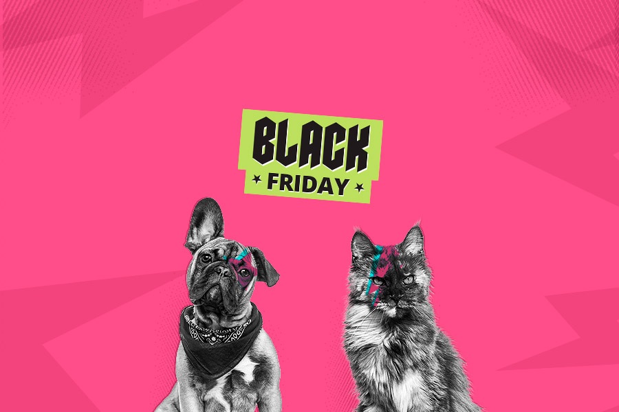 black-friday-mascotas-blog_cabecera
