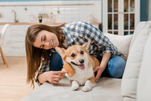 Los mejores cepillos para perros según su tipo de pelo: corto, largo, duro, rizado, etc
