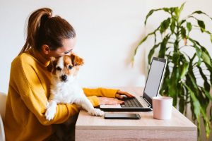 Consejos para llevar a tu perro al trabajo