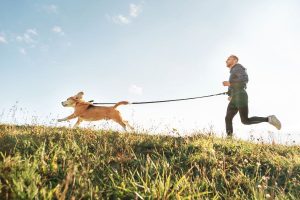 Cómo empezar a practicar canicross con tu perro