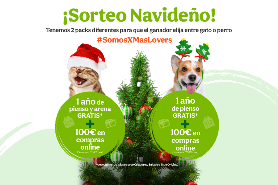 Sorteo Navidad Bases Legales