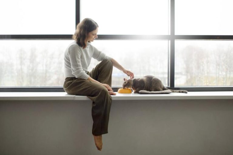 ¿Cuánta malta dar a un gato?