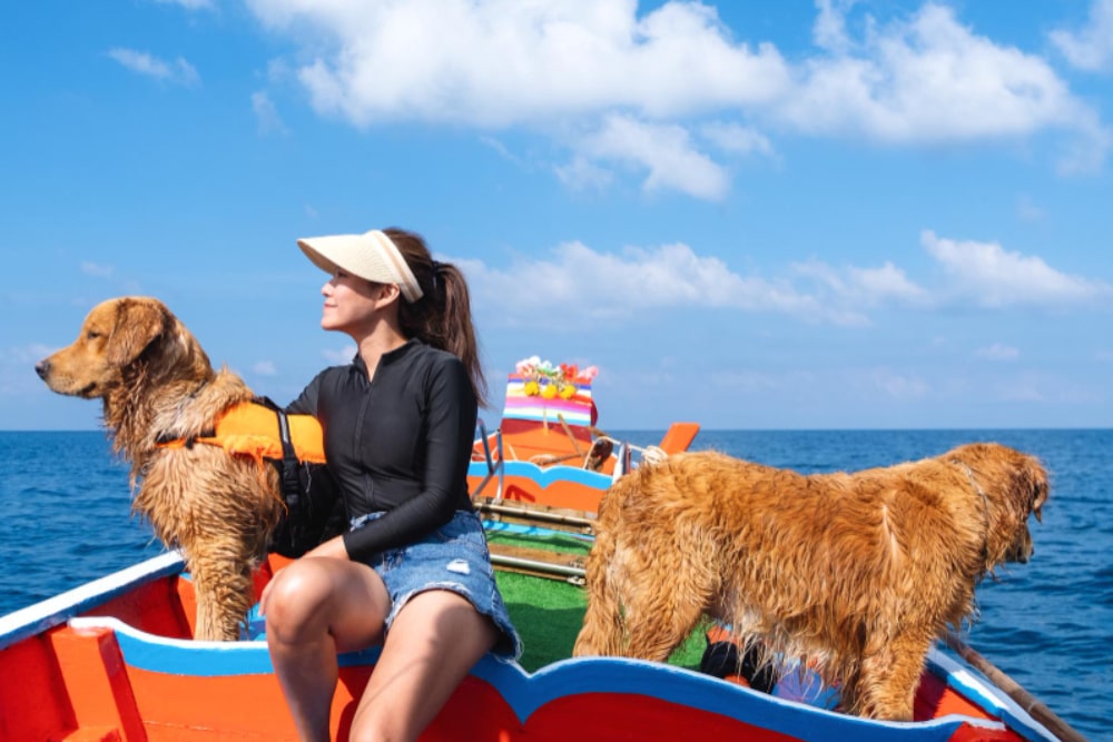 viajar con tu perro en barco
