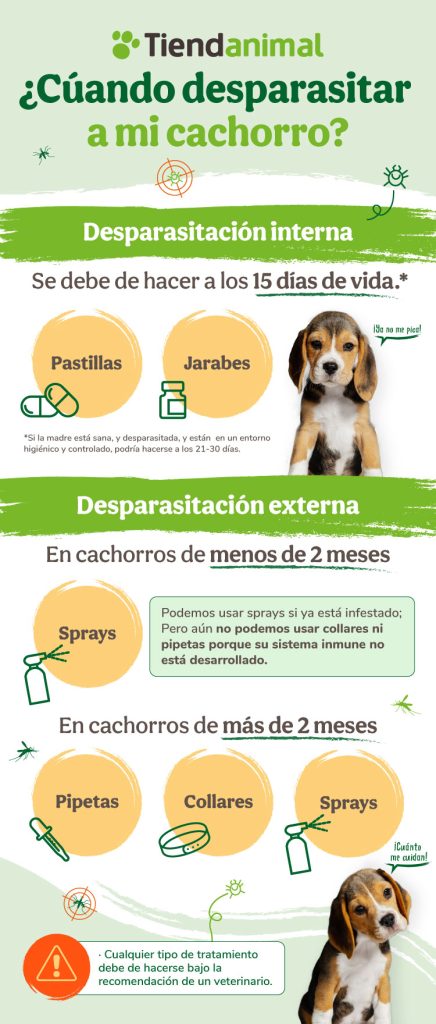 Cómo desparasitar a un cachorro internamente y externamente