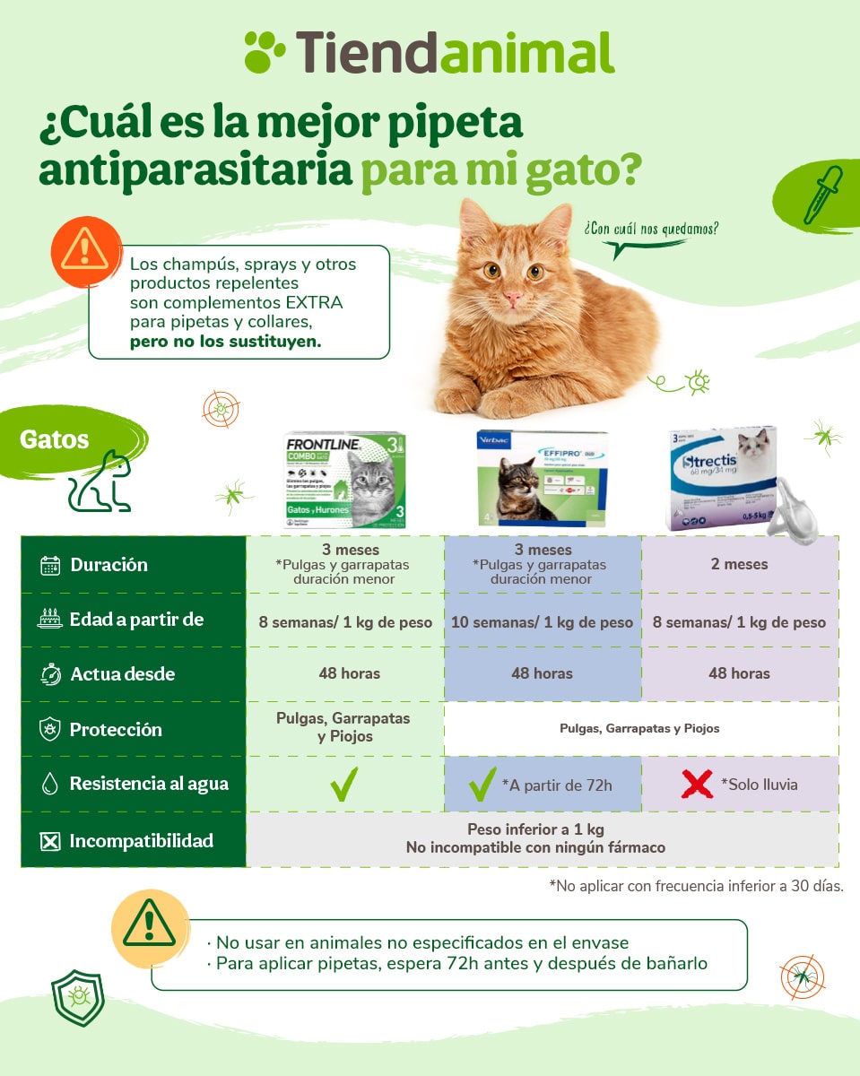 saltar pereza Marcado Pasos para poner una pipeta a tu mascota - Tiendanimal