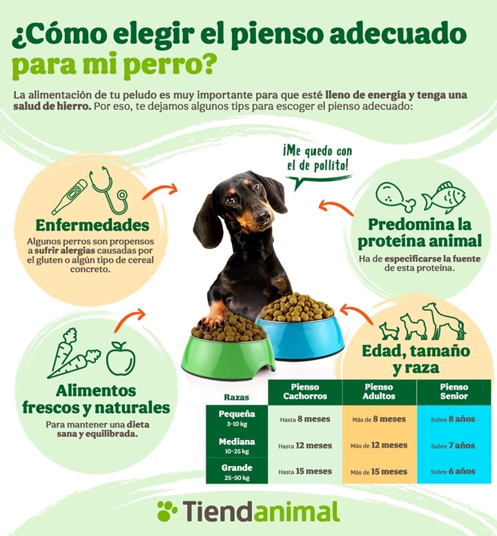 cómo elegir el pienso adecuado en perros