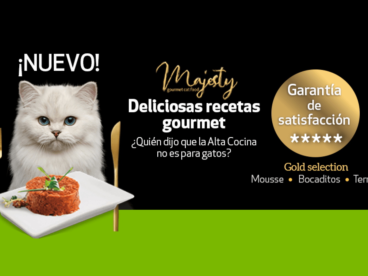 Gourmet cat sales