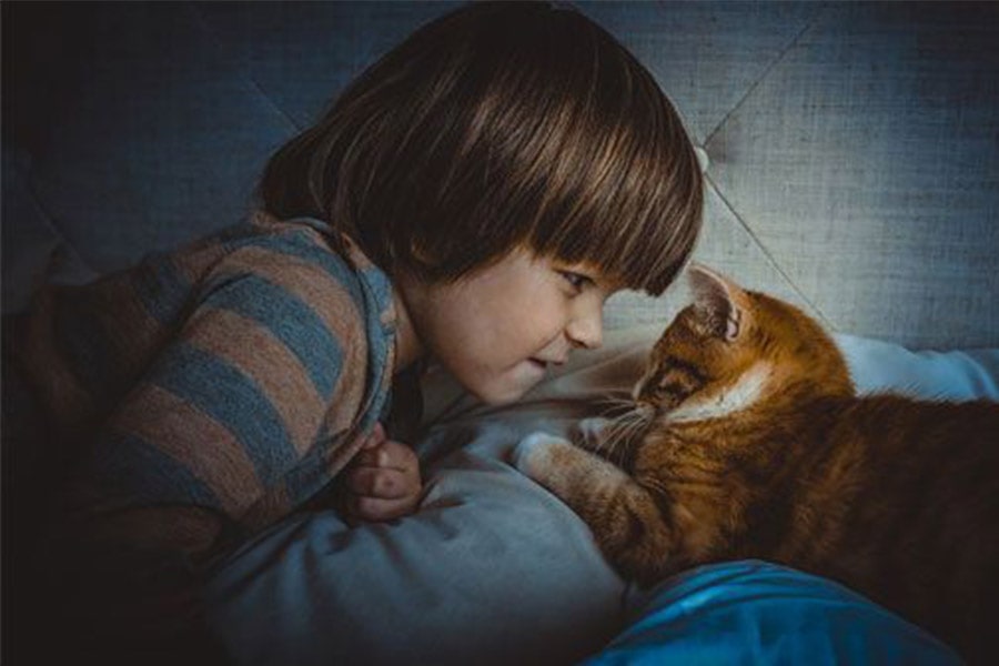 ¿Los parásitos de las mascotas pueden enfermar a los niños?