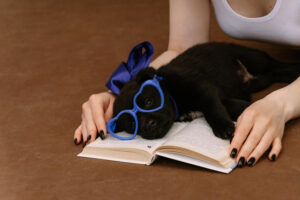 Los mejores libros para amantes de los perros y gatos