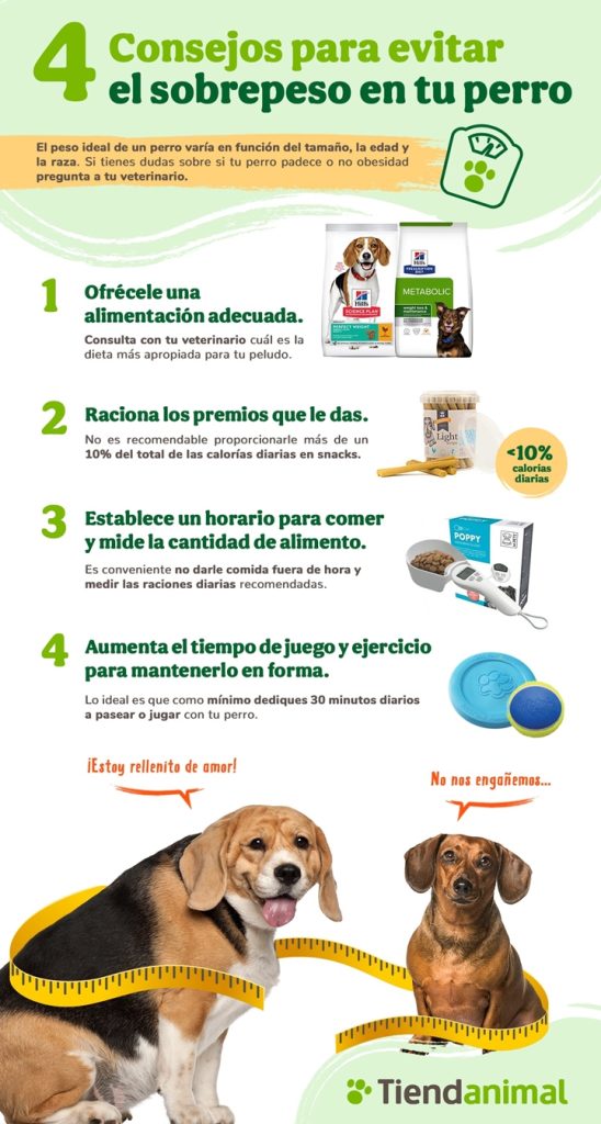 infografía-obesidad