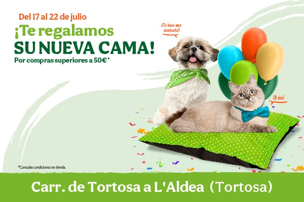 Gran apertura Tortosa Regalo Cama