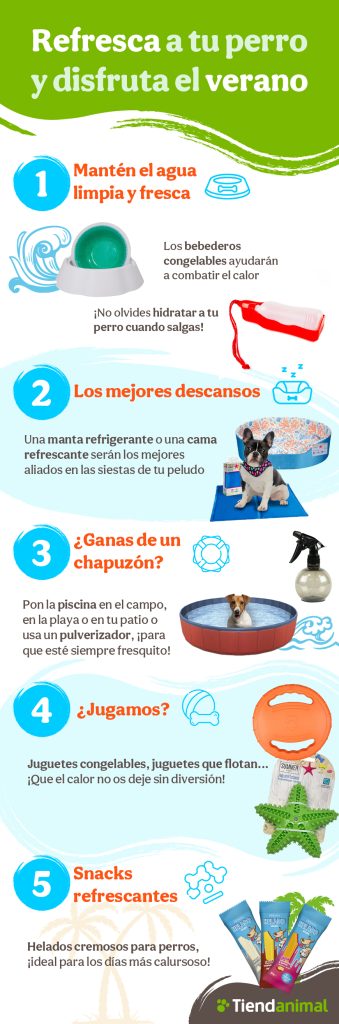 cómo refrescar a tu perro en verano