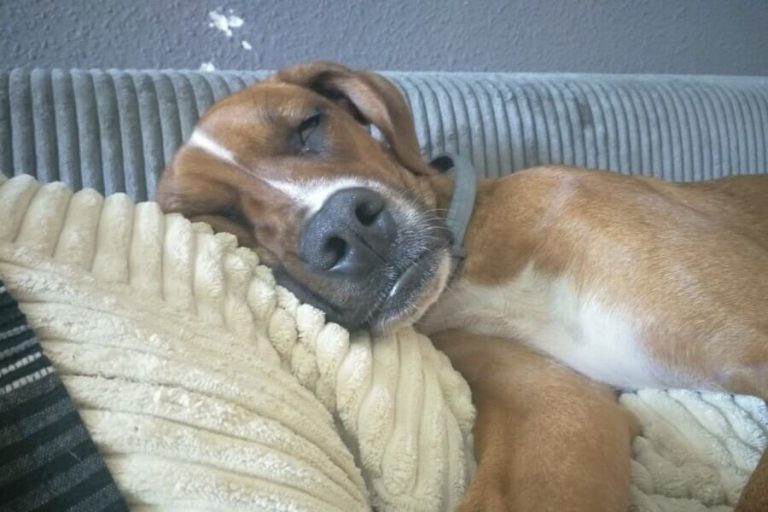 La historia de Elena y Telma que deja huella