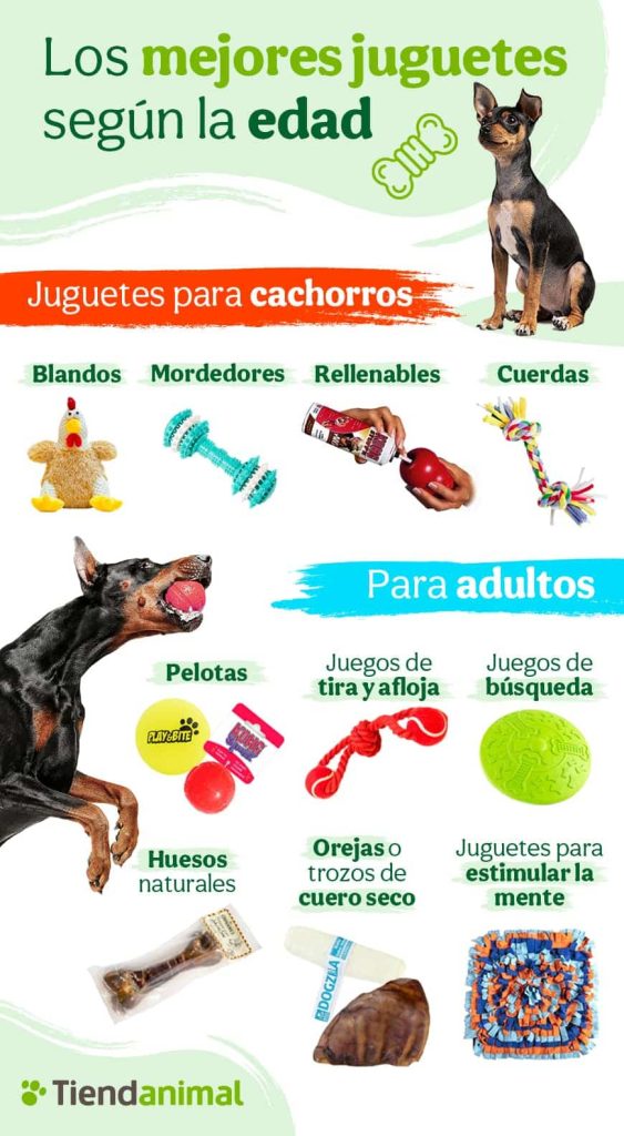 Los mejores juguetes para perros según su edad