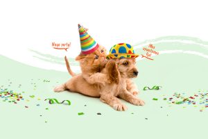 Tiendanimal en Cocentaina
