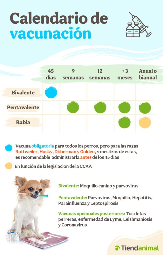 Farmacias Similares - Cada etapa de tu bebé es especial, disfrútala.