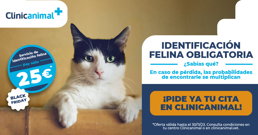 Promoción Clinicanimal