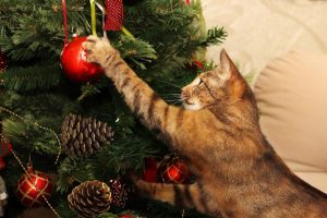 Cómo proteger y evitar que tu gato tire el árbol de Navidad