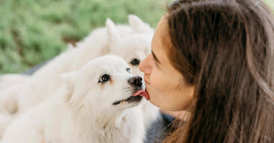 Signos y señales de que tu perro te quiere