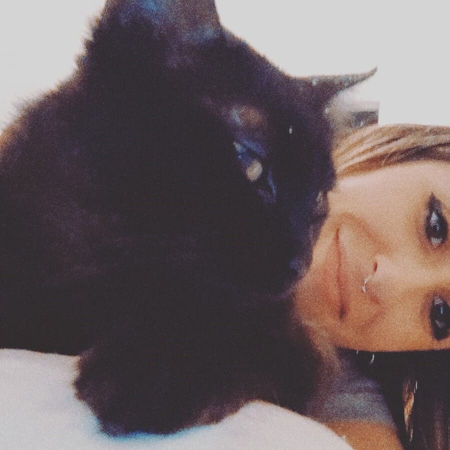 Rescate y adopción de gatita Tatu
