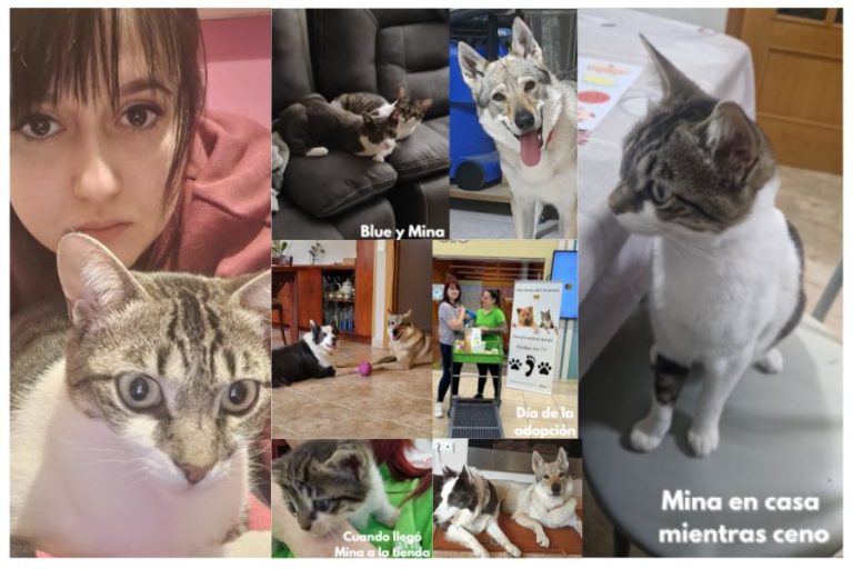 Historia de adopción de Mina y Marta