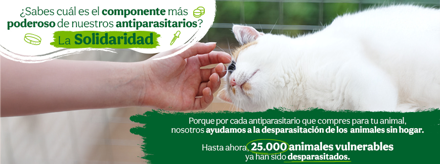 Campaña de desparasitación de TA