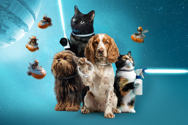 Campaña antiparasitaria de Tiendanimal