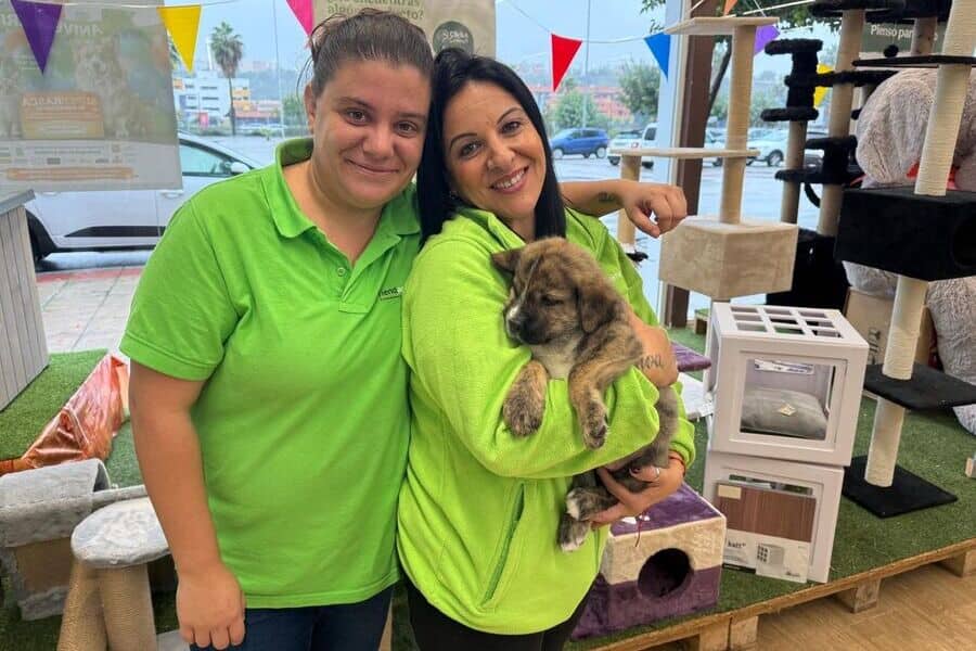 Adopción de Yizar en Tiendanimal