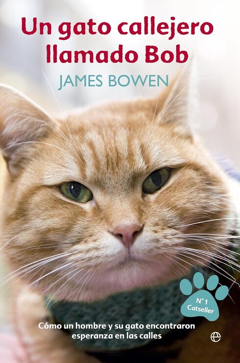 Mejores libros para amantes de gatos